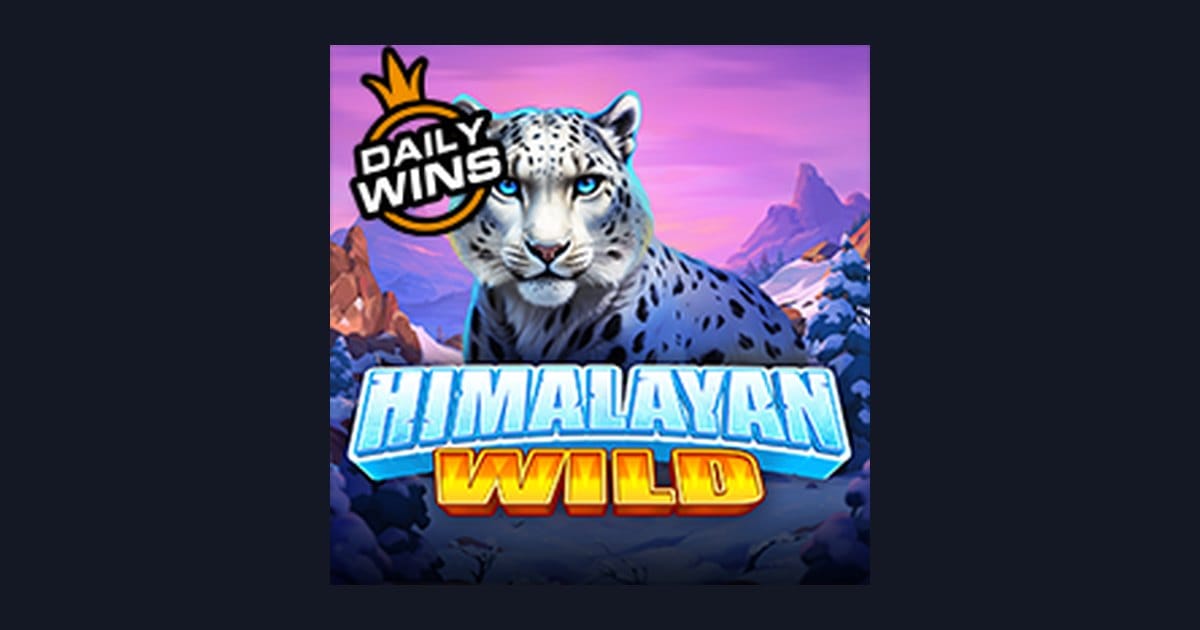 Eksplorasi Link Slot Gacor Himalayan Wild dari Pragmatic Play